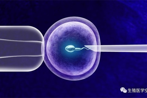 女人徐州代生孩子的最佳年龄段 一辈子生几个孩子最好